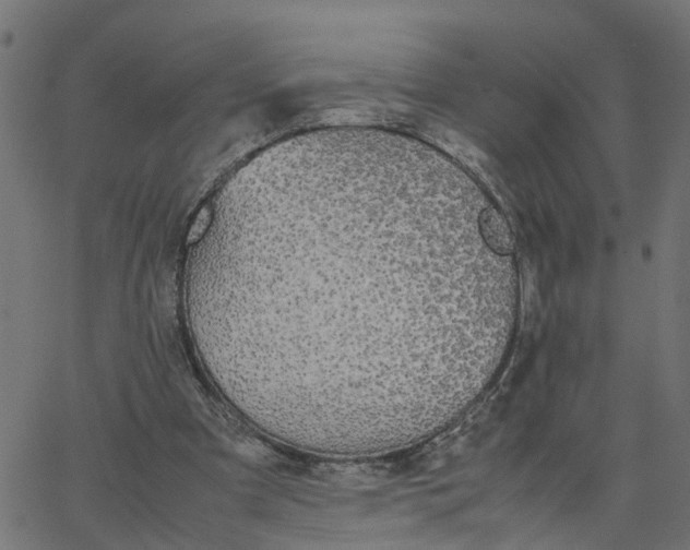 X0000067870297200604271742