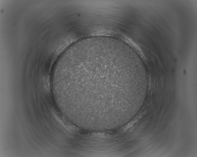 X0000067870298200604271742