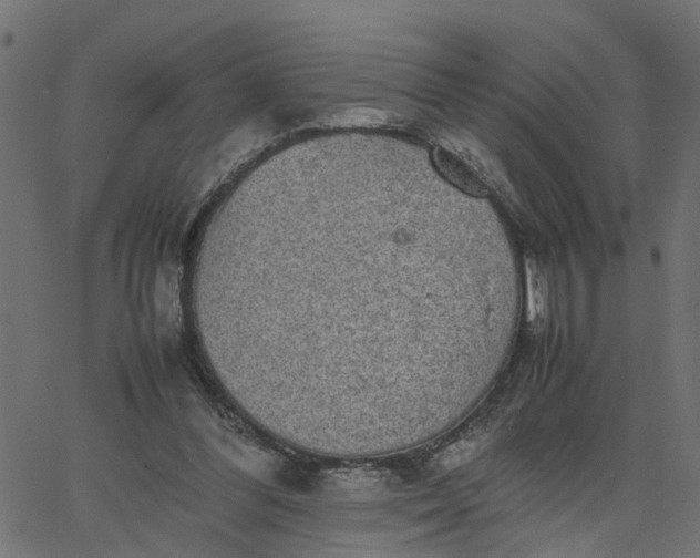 X0000067870300200604271742