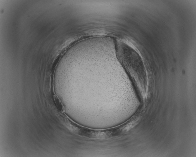 X0000067870301200604271742