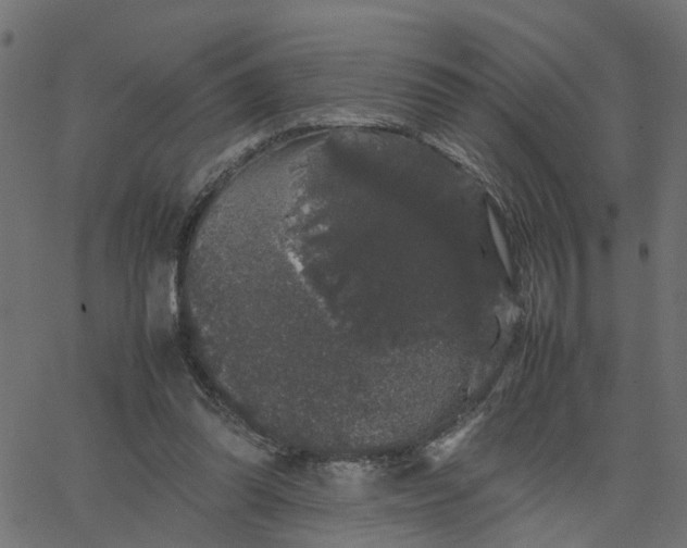 X0000067870302200604271742