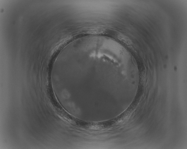 X0000067870303200604271742