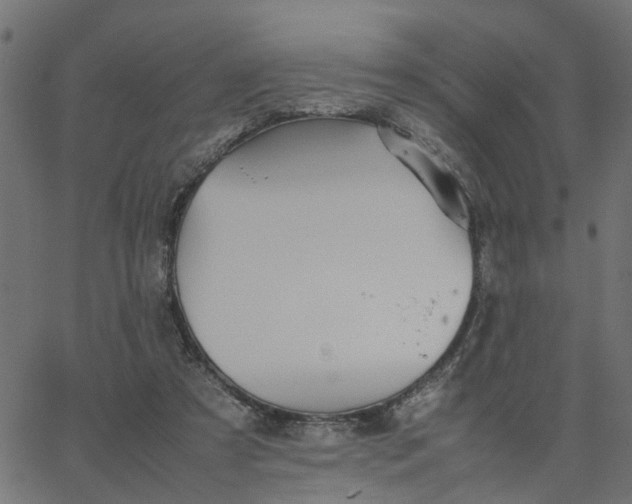 X0000067870305200604271742