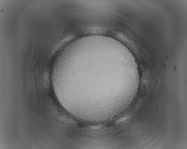 X0000067870306200604271742