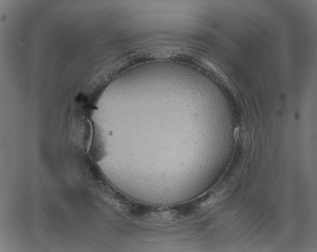 X0000067870307200604271742