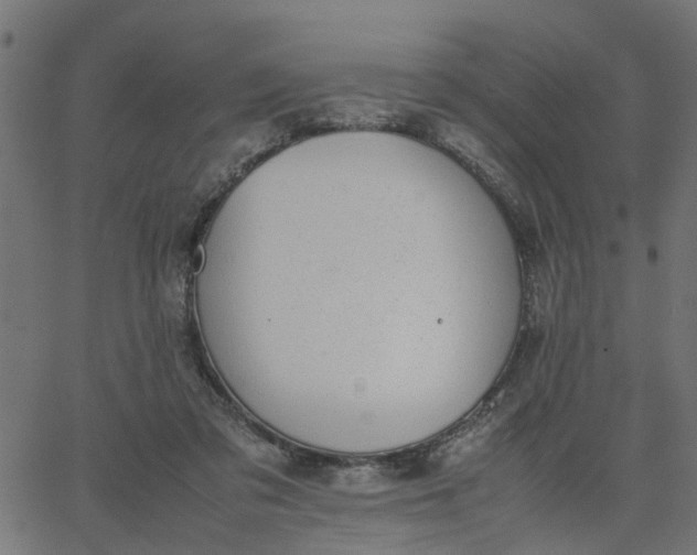 X0000067870309200604271742