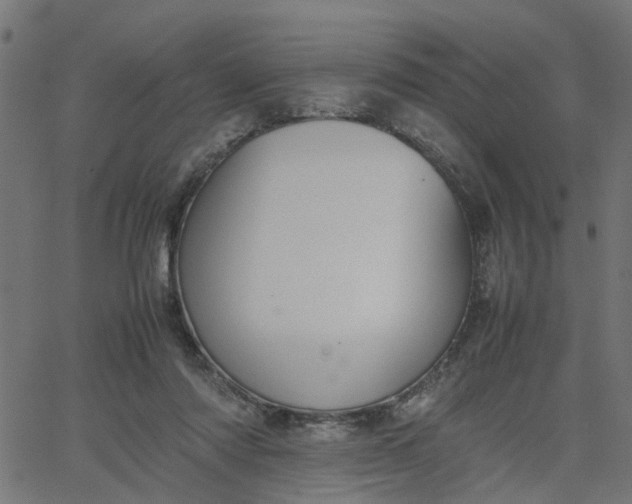 X0000067870310200604271742