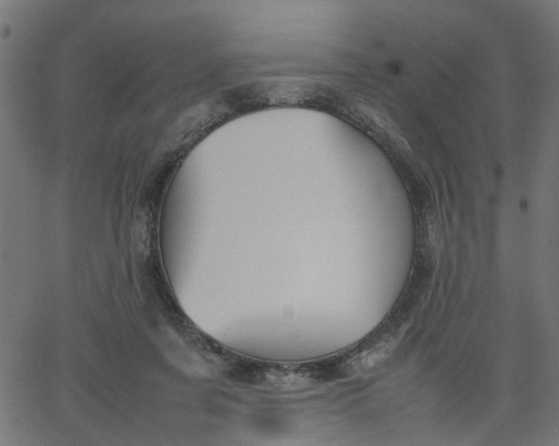 X0000067870311200604271742