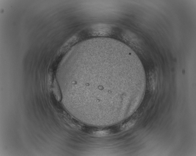 X0000067870312200604271742