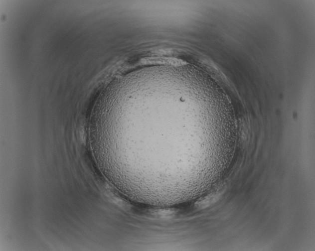 X0000067870313200604271742