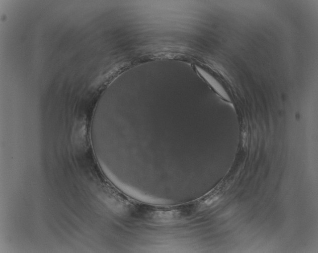 X0000067870314200604271742