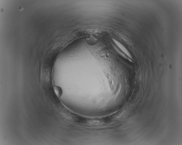 X0000067870315200604271742