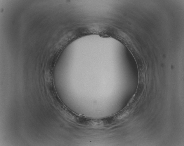 X0000067870317200604271742