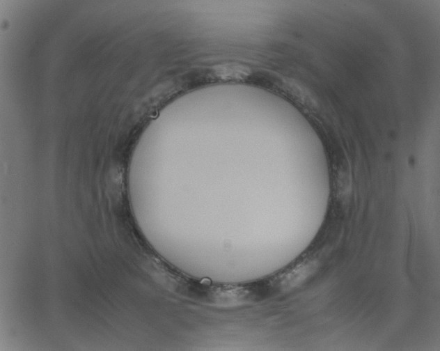 X0000067870321200604271742