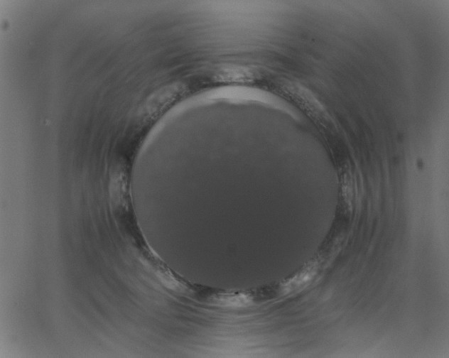 X0000067870322200604271742