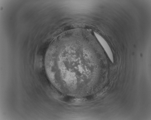 X0000067870323200604271742