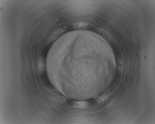 X0000067870324200604271742