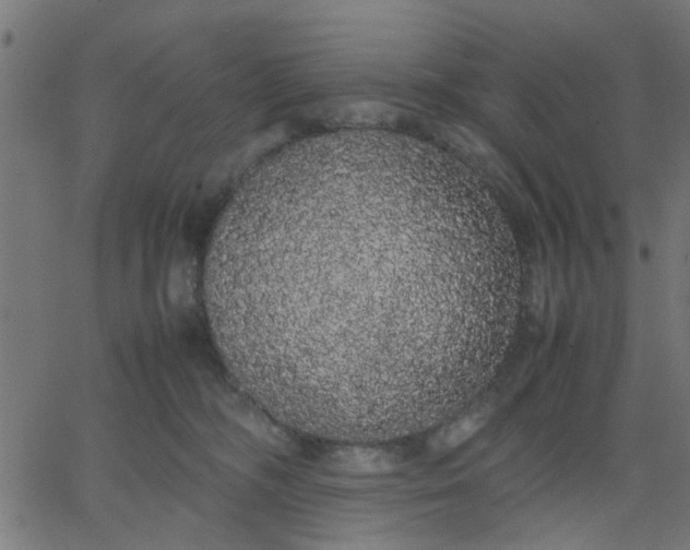 X0000067870326200604271742