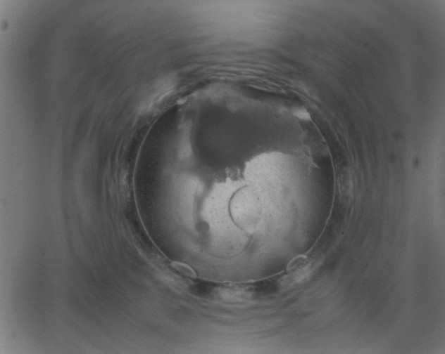 X0000067870327200604271742