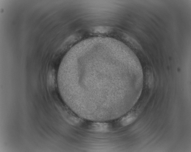 X0000067870328200604271742