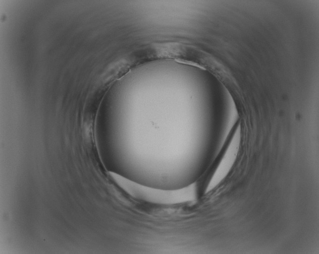 X0000067870329200604271742