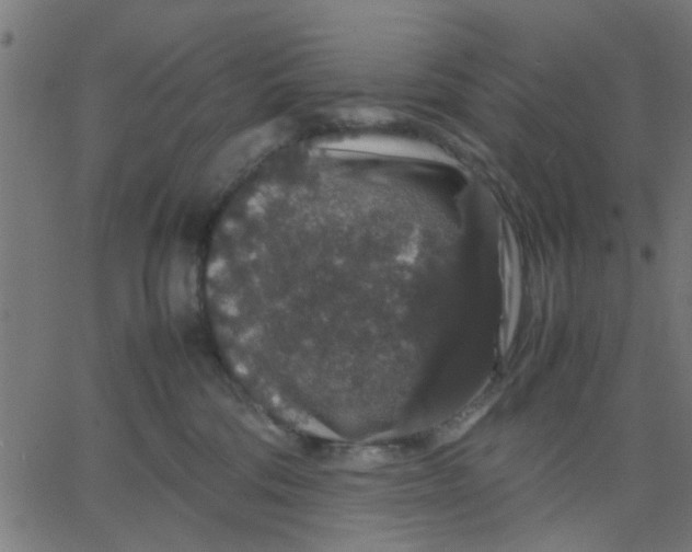 X0000067870330200604271742