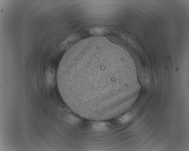 X0000067870332200604271742