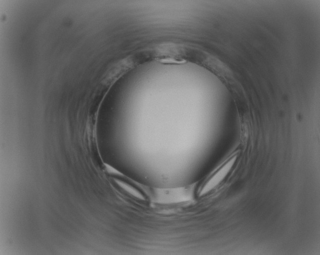 X0000067870333200604271742