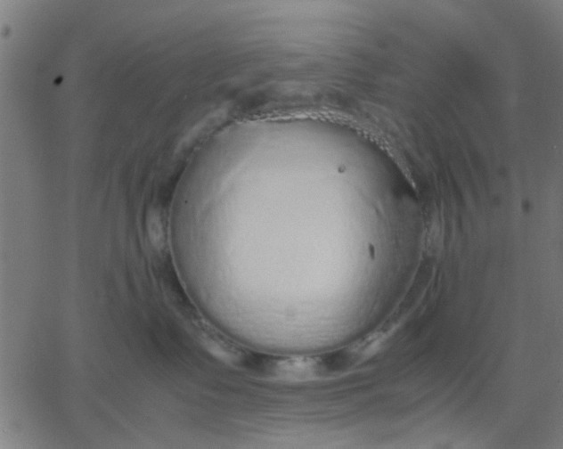 X0000067870335200604271742