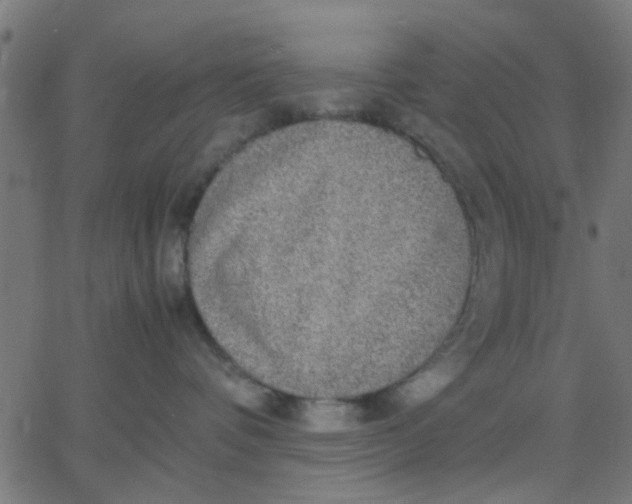 X0000067870336200604271742