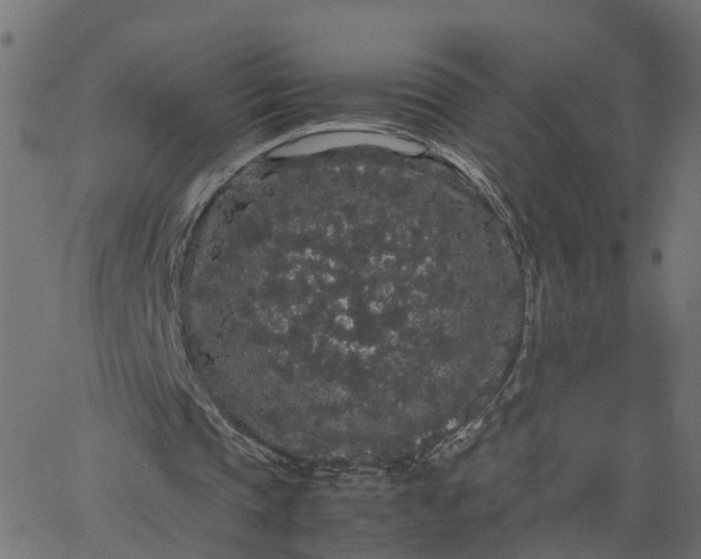 X0000067870337200604271741