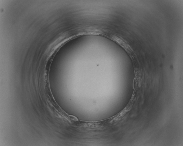 X0000067870338200604271741