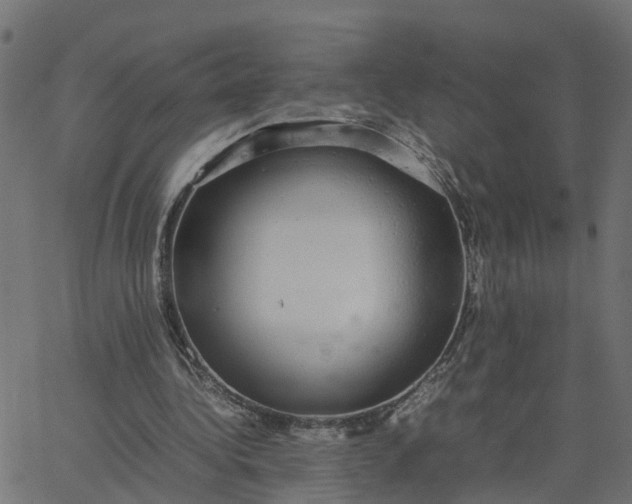 X0000067870340200604271741