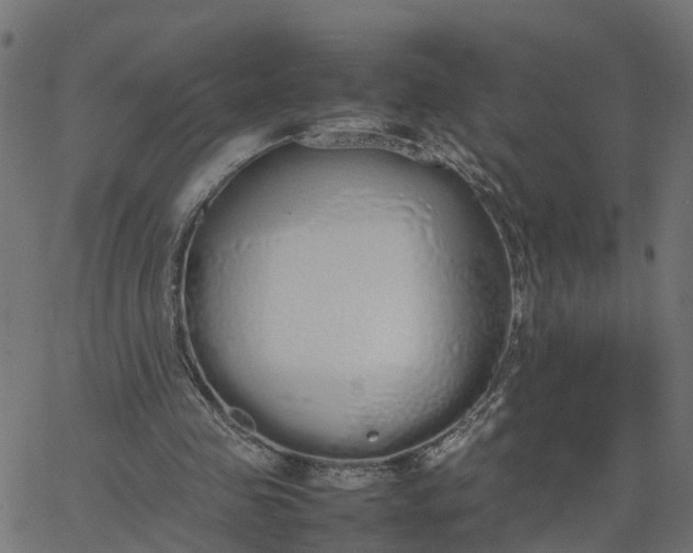 X0000067870341200604271741