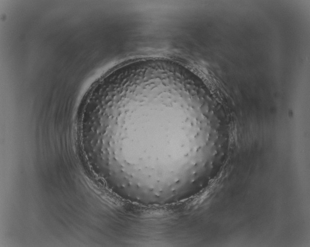 X0000067870342200604271741