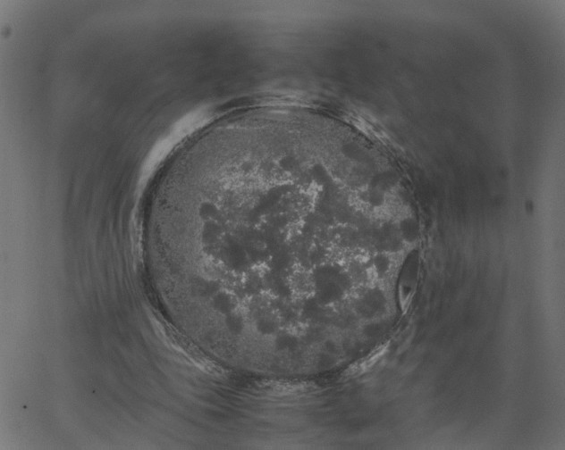 X0000067870343200604271741