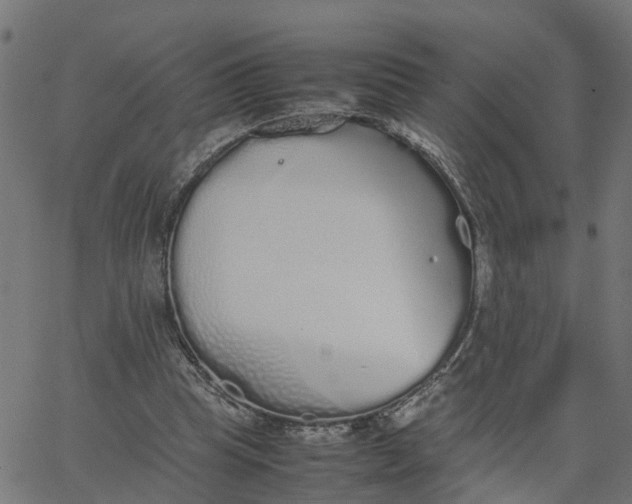 X0000067870345200604271741