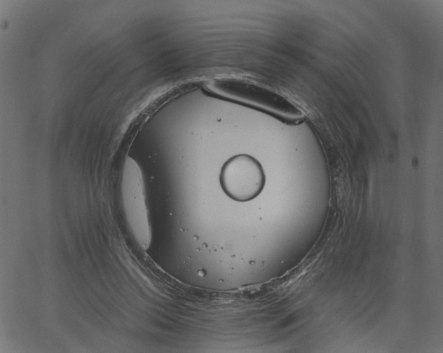 X0000067870350200604271741