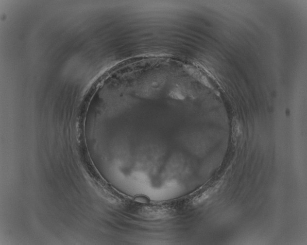 X0000067870351200604271741