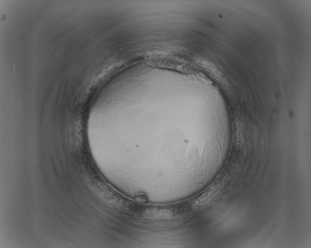 X0000067870354200604271741