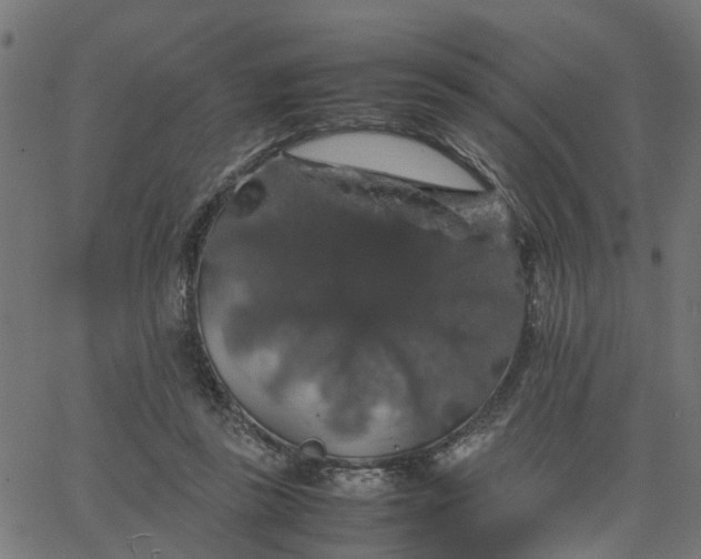 X0000067870355200604271741