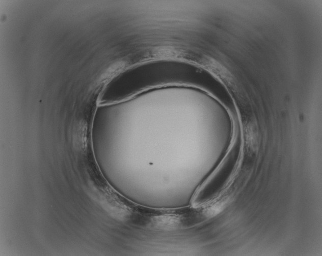 X0000067870356200604271741