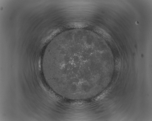 X0000067870358200604271741