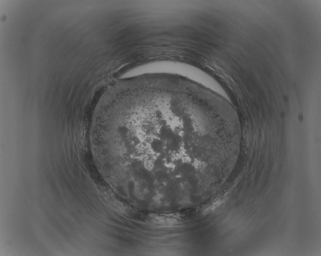 X0000067870359200604271741