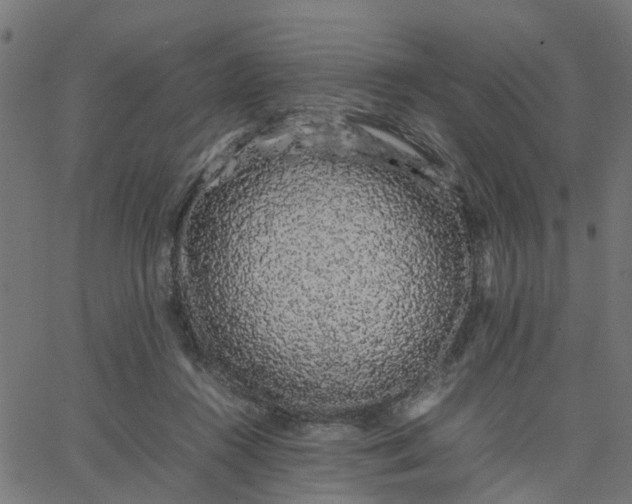 X0000067870360200604271741