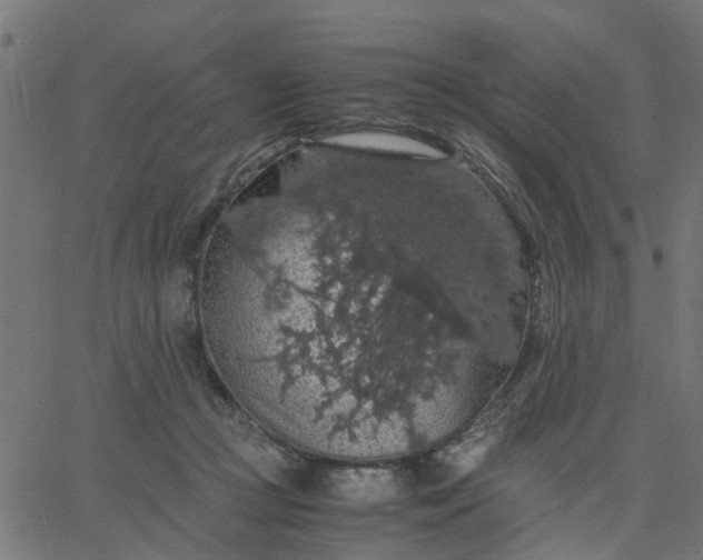 X0000067870361200604271741