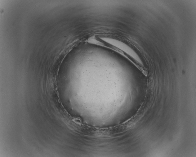 X0000067870363200604271741