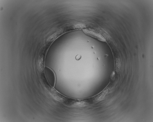 X0000067870364200604271742