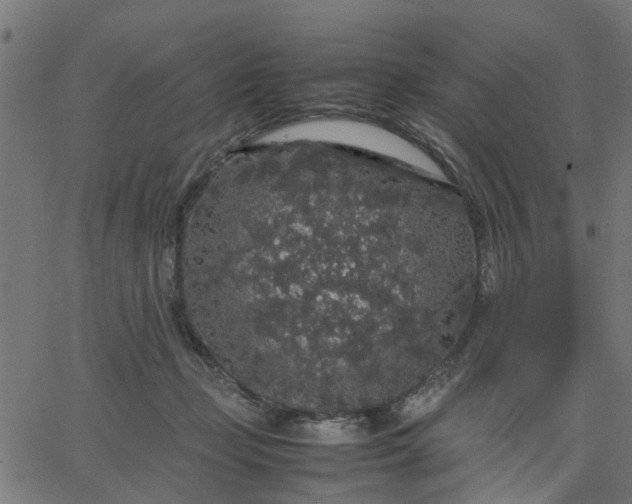 X0000067870365200604271742