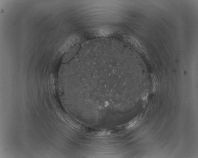 X0000067870366200604271742